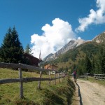 Der Weg zur Wodenalm im Zedalcher Paradies